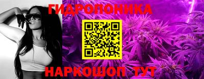 соль ск Пугачёв